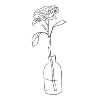 blooming rose flower in a vase, black and white doodle style, vector illustration