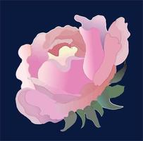 watercolor flowers blossom  peony isolated vector