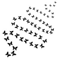 Pattern outline silhouette of a flock of flying, fluttering, soaring insect butterflies vector