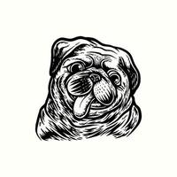 ilustración mano dibujo pug perro vintage vector