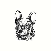 logo ilustración mano dibujo bulldog francés perro vintage vector