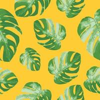 seamless pattern of leaves monstera tropical trees vector background.