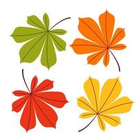 un conjunto de hojas de castaño de otoño de diferentes colores sobre un fondo blanco aislado. ilustración plana vectorial. vector