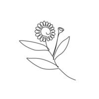 Continuous single line drawing Bhringraj, Eclipta Alba or Eclipta Prostrata, also known as False Daisy is an effective herbal medicinal plant in Ayurvedic medicine. vector illustration.