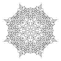 beautiful line art mandala vector