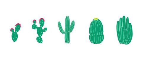 varias ilustraciones de vectores planos de cactus. conjunto de suculentas. desierto al aire libre salvaje y plantas caseras de interior. elementos de diseño para patrón, textil, pegatina, pancarta, afiche.