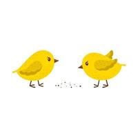 Two chickens peck at the grain. Simple yellow little birds. A symbol of spring, Easter, and farming. Children's, cartoon characters. Vector illustration in a flat style. Isolated on white.