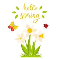 un arbusto de narciso y una inscripción caligráfica-hola primavera. letras a mano. el concepto de una tarjeta de primavera y verano con una ilustración botánica en un estilo plano de dibujos animados, aislado en un fondo blanco. vector