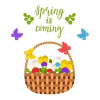 Wicker basket with spring and summer flowers, pansies, leaves and butterflies. The words Spring is coming. Bright, botanical color vector illustration, postcard in flat style. Isolated on white.