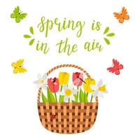 cesta de mimbre con flores de primavera, tulipanes, narcisos, libélula, abeja, mariposas. las palabras la primavera está en el aire. ilustración de vector de color brillante, postal en estilo plano. aislado en blanco