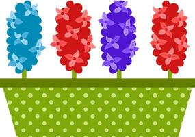 A long pot of polka dots with hyacinths. Spring flowers, a symbol of the beginning of spring, gardening. Floral decorative element. Vector illustration in a flat style. Isolated on white.