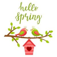 Two lovebirds on a branch with leaves. A birdhouse with a heart. Lettering Hello spring. Spring, bright color vector illustration, postcard in a flat style. Isolated on a white background.