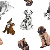Set of dogs puppy seamless watercolor realistic vector illustration on white background