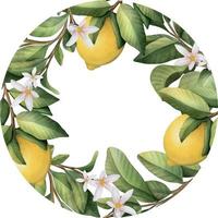 Hand drawn round frame of watercolor lemon. Watercolor illustration wreath of lemon and leaves. vector