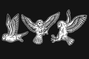 Set Owl Bird Animal Hand Drawn for tattoo and t-shirt art illustration vector