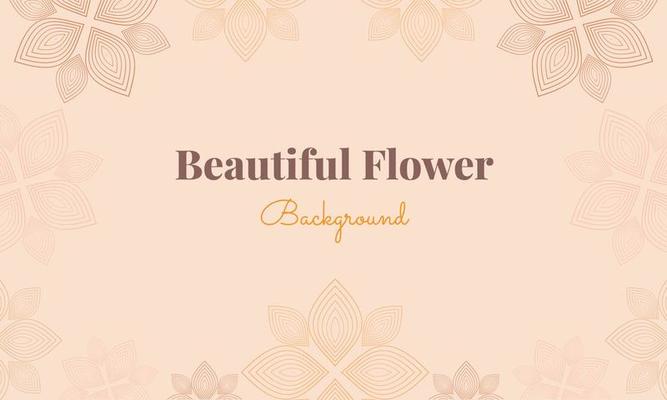 beautiful flower petals background