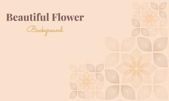 beautiful flower petals background vector