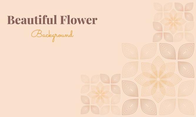 beautiful flower petals background