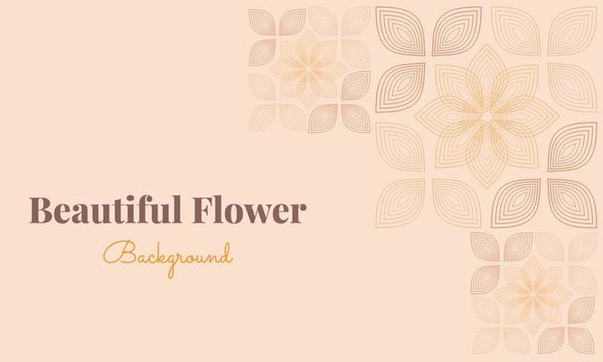 beautiful flower petals background