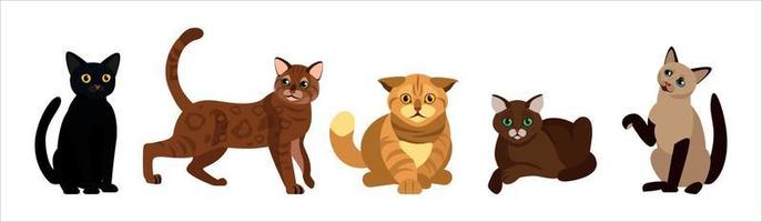 gato de dibujos animados con diferentes poses y emociones. comportamiento del gato, lenguaje corporal y expresiones faciales