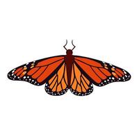 mariposa monarca ilustración vectorial aislada vector
