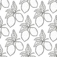 Lemons on branch with leaves seamless pattern vector
