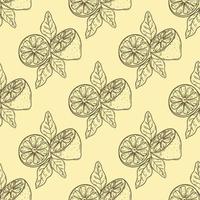 Lemon halves with leaves seamless pattern sketch vector