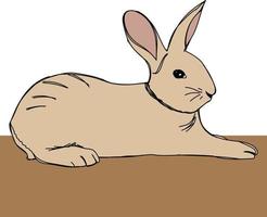 Rabbit Illustration free design vector