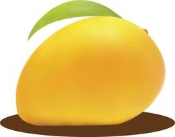 Realistic Mango Illustration on white background vector