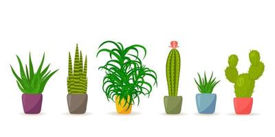 Set of potted cactus and succulents plants in cartoon style.