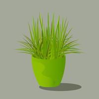 Green potted plant. vector