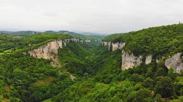zoom aéreo en vista valle verde en la región de georgia imereti, paisaje verde del cáucaso video