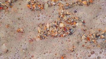 cerrar la playa de pequeños trozos de conchas marinas y arena. video