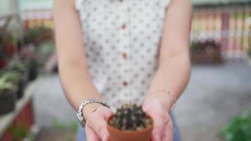 Gärtner zeigt kleinen Kaktus im Topf video