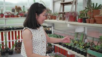 donna asiatica che vende piante di cactus e succulente in un piccolo negozio video