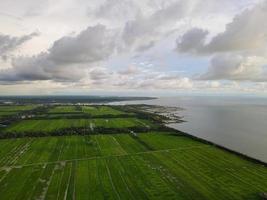 Aerial view rain cloud evening at paddy field photo