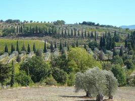 Sant Antimo abbey fields in Montalcino photo