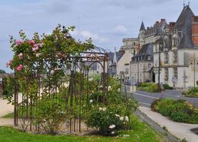 ciudad de amboise francia foto