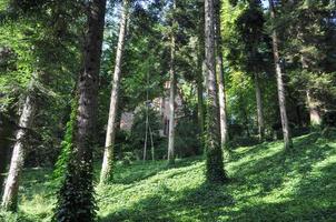 Castello del Roccolo in Caraglio photo