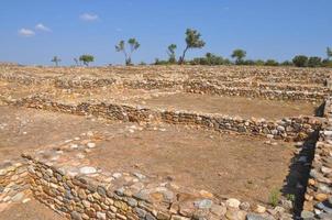 Olynthus ruins in Chalkidiki photo