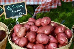 fresh red potatoes for sale at a farmers market photo