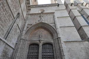 St Mary cathedral in Palma De Mallorca photo