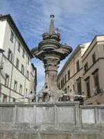 Fontana Maggiore fountain in Viterbo photo