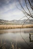 Wetlands with marsh vegetation in Padul, Granada, Andalusia photo