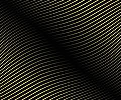 Striped gold texture, Abstract warped Diagonal Striped Background, waved lines texture. Brand new style for your business design, vector template for your ideas