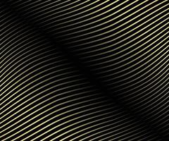 Striped gold texture, Abstract warped Diagonal Striped Background, waved lines texture. Brand new style for your business design, vector template for your ideas