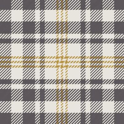 Tartan plaid pattern background. Seamless check plaid graphic for scarf, shirt, flannel  blanket, throw, upholstery, or other modern fabric design