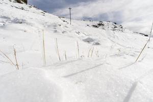 Frozen plants in ski resort of Sierra Nevada photo