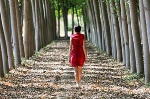 mujeres vestidas de rojo caminando por el bosque foto