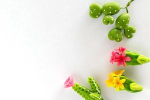 Miniature cactus on white paper background photo